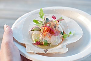 Appetizer ceviche with raw scallop