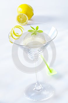 Appetizer of lemon sorbet