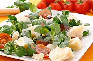 Appetizer with parmesan cheese and vegetables