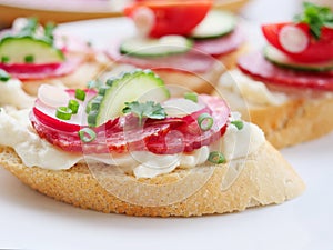 Appetizer with salami, cheese, red radish and cucumber