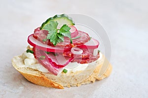 Appetizer with salami, cheese, red radish and cucumber