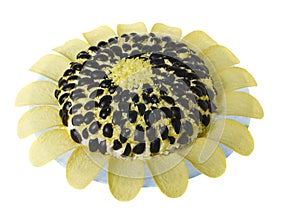 Appetizer sunflower isolated