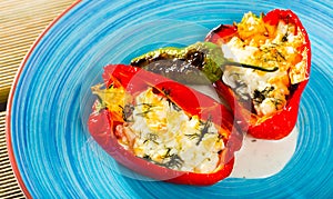 Appetizer sweet red peppers stuffed with soft cheese brynza