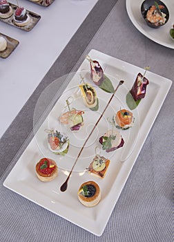 Appetizers canapes