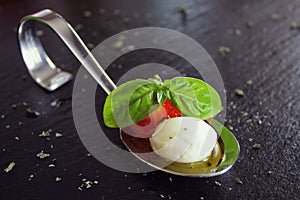 Appetizers with mozzarella and tomato on spoon - selective focus