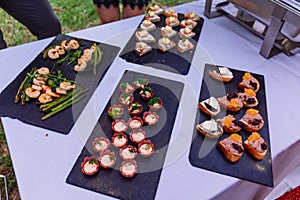 Appetizers served at wedding, tasty amuse-bouche