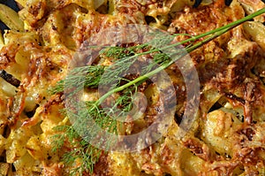 The appetizing background of the ministerial meat dish is embellished with dill.