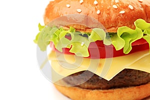 Appetizing cheeseburger