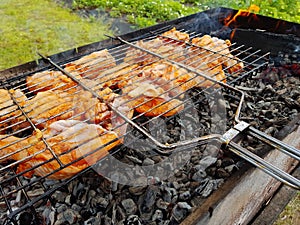 Appetizing chicken to grill on the grill.