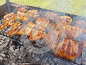 Appetizing chicken to grill on the grill.