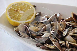 Appetizing Donax trunculus (Coquinas`) dish with a lemon slice`