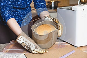 Appetizing fresh loaf of bread in form of baking bread