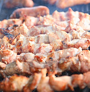 Appetizing fresh meat shish kebab (shashlik)