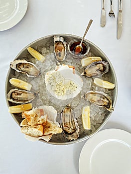 Appetizing fresh oysters with lemon on the deep dish on ice. Cheese with spices