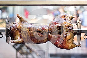 Appetizing grilled duck on the spit skewer. Roasted on traditional barbecue. Roasting prepared ram duck baked meat Whole carcass d