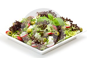 Appetizing healthy salad