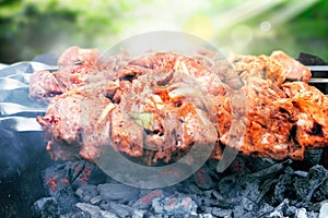Appetizing kebab on summer