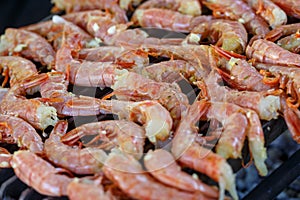 Appetizing large shrimp is roasting on grill