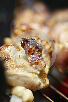 Appetizing pork-grill