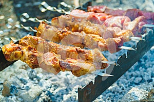 Appetizing raw meat kebab is cooked on the grill on the wood, in the open air. The kebab is cooked on skewers.