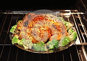 Appetizing roast turkey