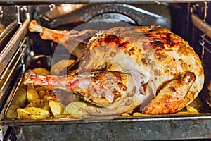 Turkey is baked in the oven closeup