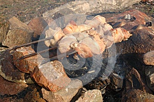 Appetizing roasted shish kebab (shashlik).