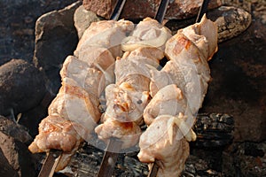 Appetizing roasted shish kebab (shashlik).