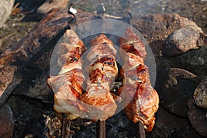 Appetizing roasted shish kebab (shashlik).