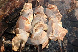 Appetizing roasted shish kebab (shashlik).