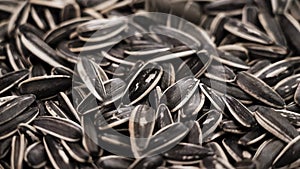 Appetizing roasted sunflower seeds falling in slow motion closeup