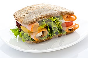 Appetizing sandwich