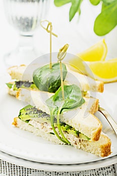 Appetizing sandwich with chicken, spinach, avocado