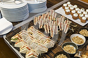 Appetizing sandwiches and snacks on the buffet table. Close-up. Business meetings and celebrations