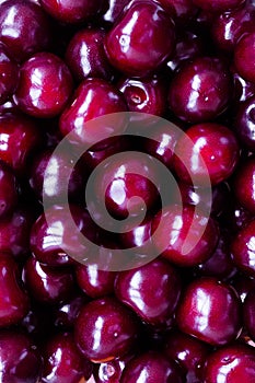 Appetizing shiny ripe sweet cherry. Large maroon berries - food background