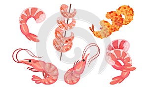 Appetizing Snacks with Shrimp or Prawn Like Canape and Sushi Vector Set