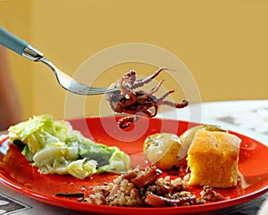 Appetizing squid on fork