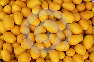 Appetizing Tropical Kumquat Fruit in San Lorenzo Market