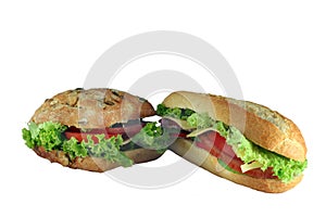 Appetizing two sandwiches