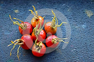 Appetizing yellow-red rose hips