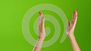 Applauded and clap two female hands on green screen background