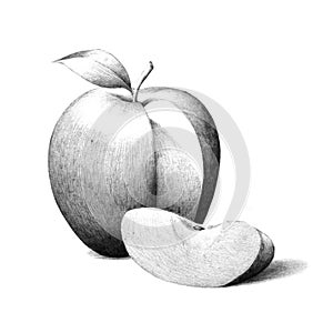 Apple with apple slice illustration, hand drawn apple fruit sketch