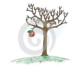 Apple bare tree