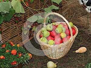 Apple in basket