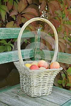 Apple in basket