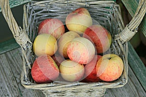 Apple in basket