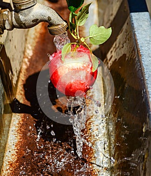 Apple Being Washed