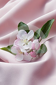Apple blossom