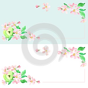 Apple blossom apple background, card, label Vector watercolor t