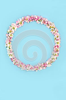 Apple Blossom Flower Wreath for Spring and Beltane